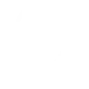 Location pin icon for Pro Ride Limo's Houston service area