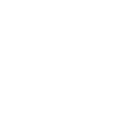Shield icon representing licensed and insured Pro Ride Limo chauffeur service