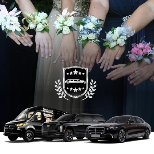 Prom corsages above luxury fleet of black vehicles